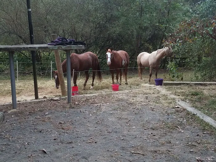 Canebrake Horse Camp 7