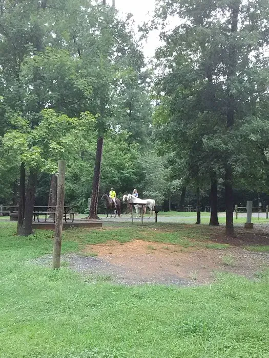 Canebrake Horse Camp 6