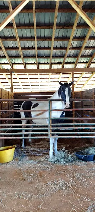 4B Farm & Campground 1