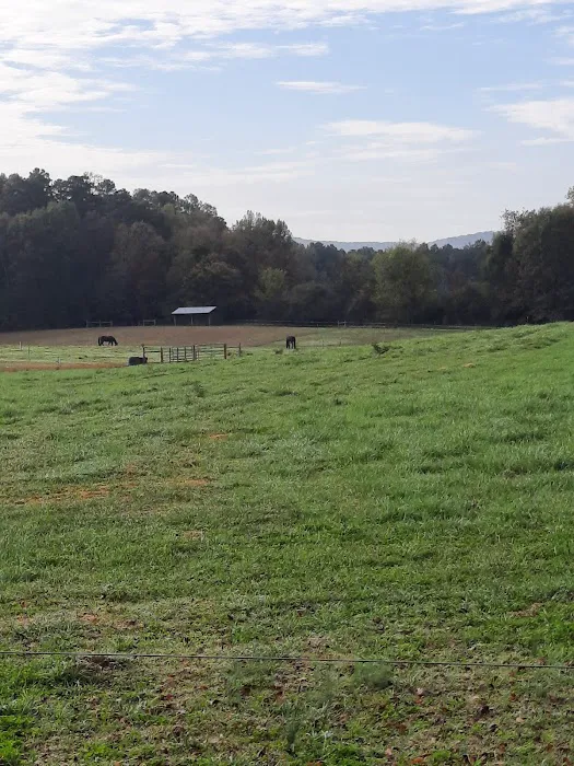 4B Farm & Campground 6