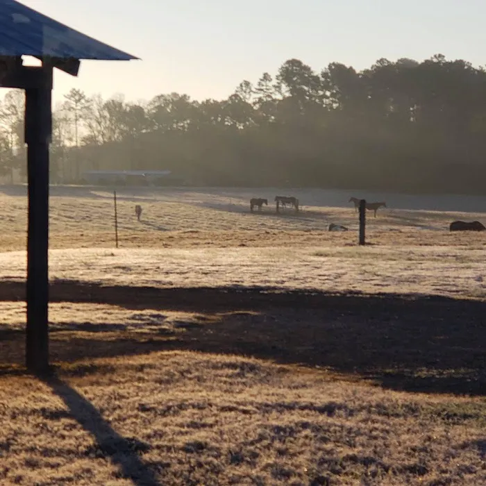 4B Farm & Campground 9