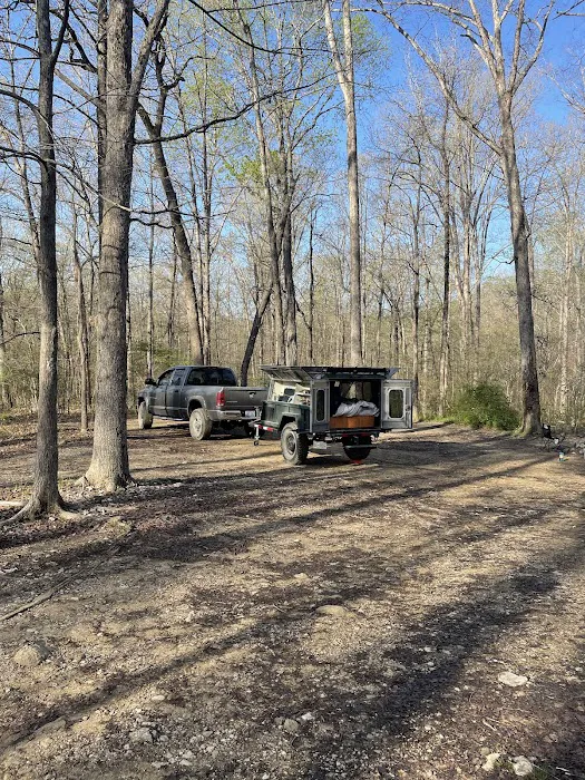 Uwharrie National Forest Hunt Camp Campgrounds 8