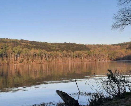 Uwharrie National Forest Hunt Camp Campgrounds