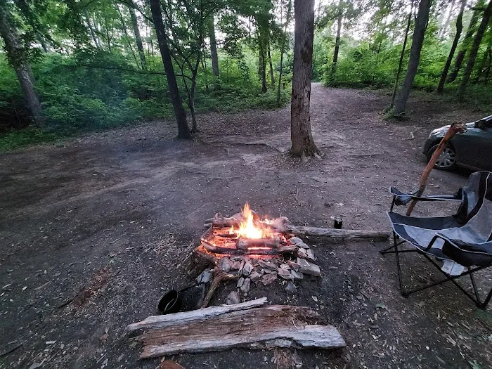 Uwharrie National Forest Hunt Camp Campgrounds 9