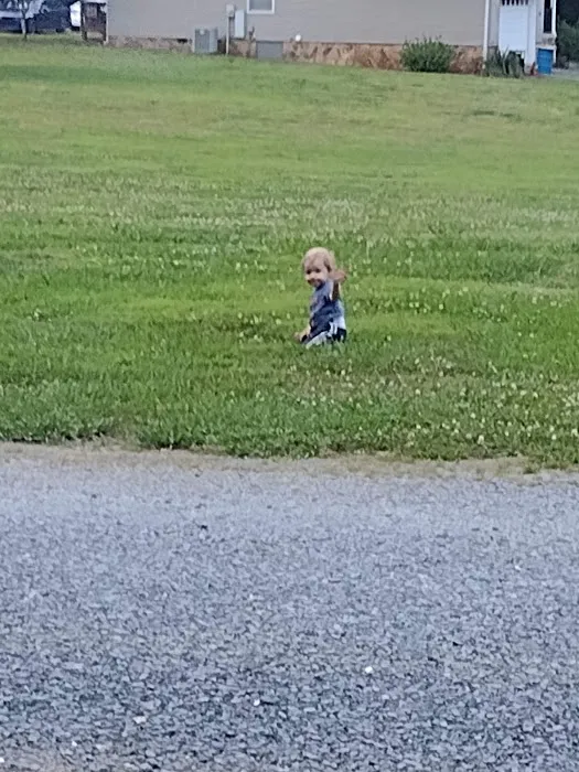 Holly Bluff Family Campground 3