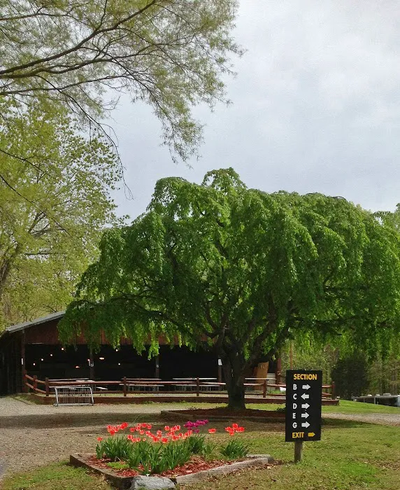 Lake Myers Campground 8