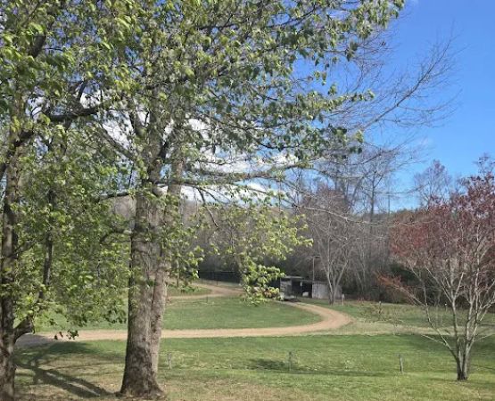 Love Valley Campground