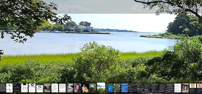 Indian Island Campground 7