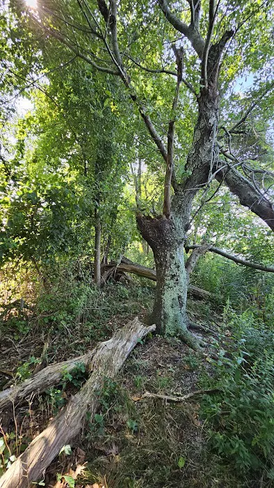 Indian Island Campground 2