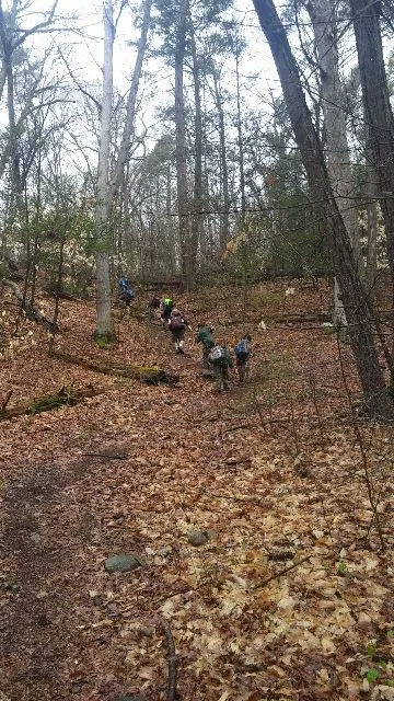 Webb Mountain Campsites 2-7 5