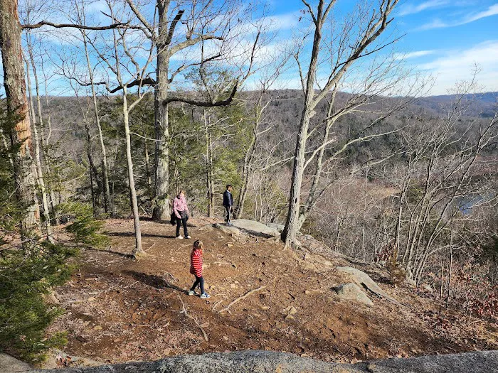 Webb Mountain Campsites 2-7 3