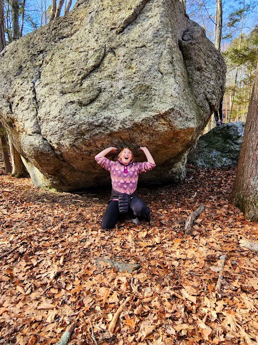 Webb Mountain Campsites 2-7 1