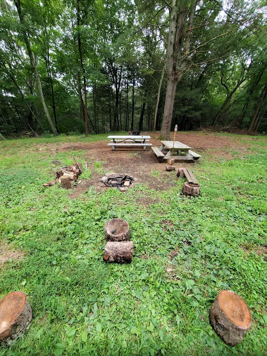 Webb Mountain Campsites 2-7 8