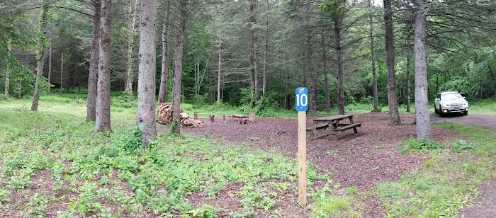 Webb Mountain Campsites 8-11 3