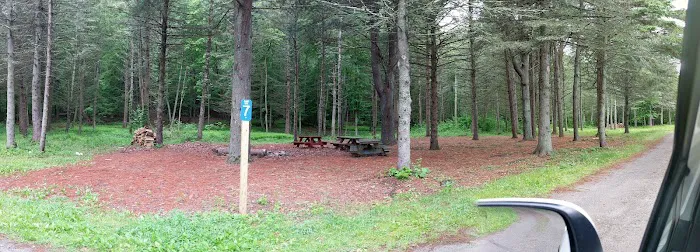 Webb Mountain Campsites 8-11 2