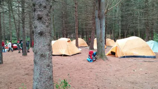 Webb Mountain Campsites 8-11 0