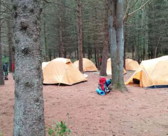 Webb Mountain Campsites 8-11
