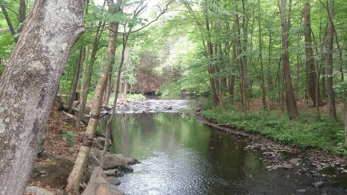 Branch Brook Campground 2
