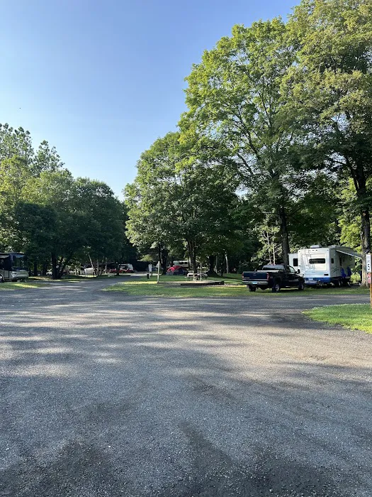 Branch Brook Campground 8