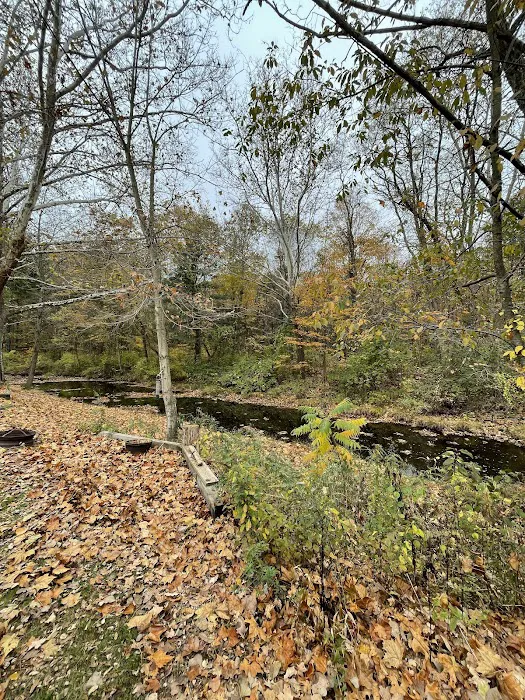 Branch Brook Campground 9