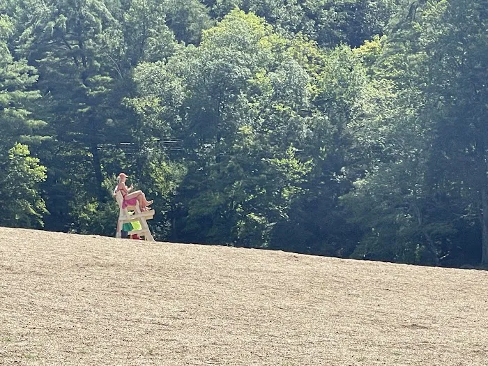 Black Rock State Park Campground 3