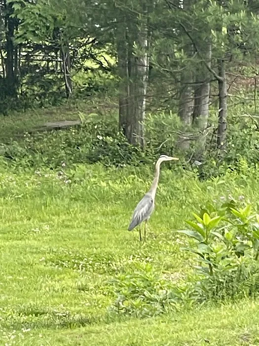Black Rock State Park Campground 5