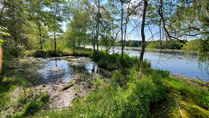 Peconic River Campground 7