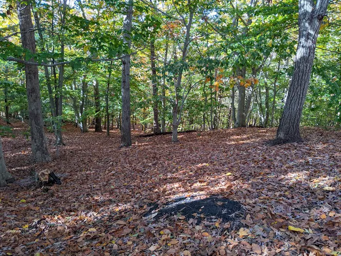 Baiting Hollow Scout Camp- Boy Scouts of America 3