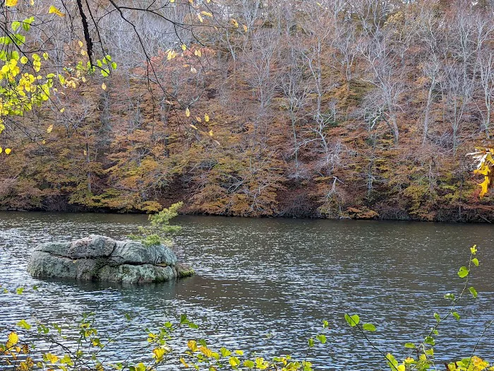 Baiting Hollow Scout Camp- Boy Scouts of America 2