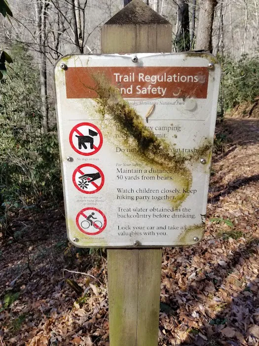 Little Cataloochee Trailhead 0