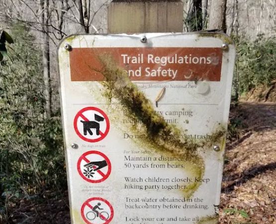 Little Cataloochee Trailhead