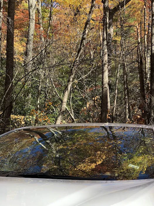 Little Cataloochee Trailhead 8