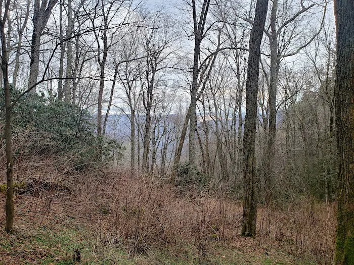 Cosby Knob Shelter 4