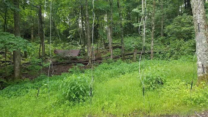 Cosby Knob Shelter 9