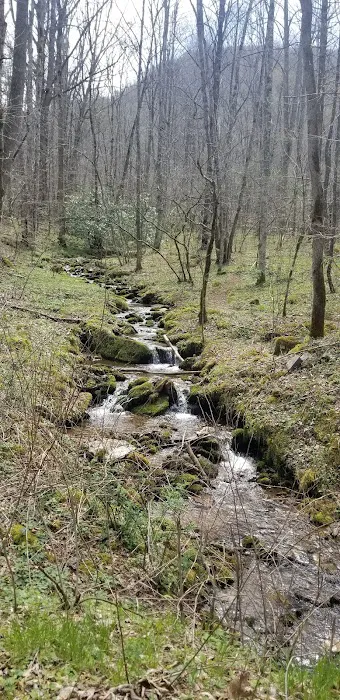 Harmon Den Horse Camp NC 4