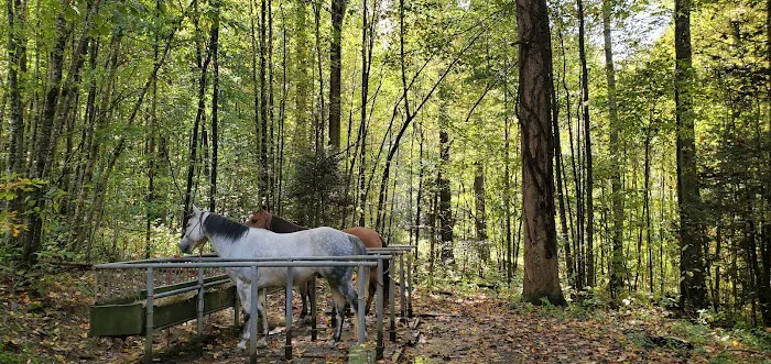 Harmon Den Horse Camp NC 1