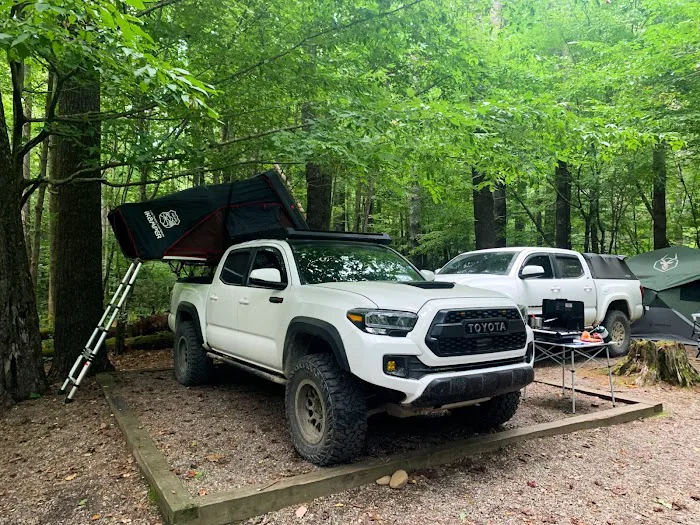 Cataloochee Group Campground 4