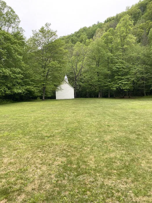 Cataloochee Group Campground 7