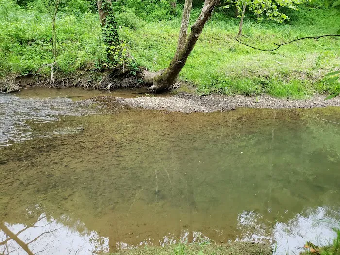 Out on the Creek Campground 2