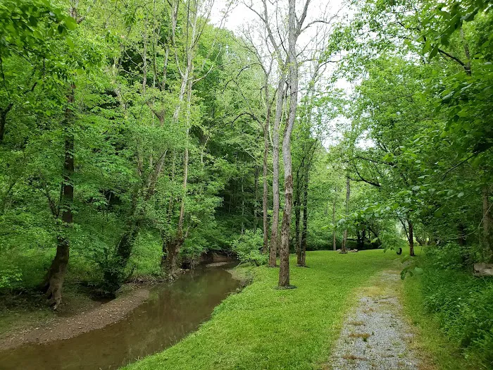 Out on the Creek Campground 8