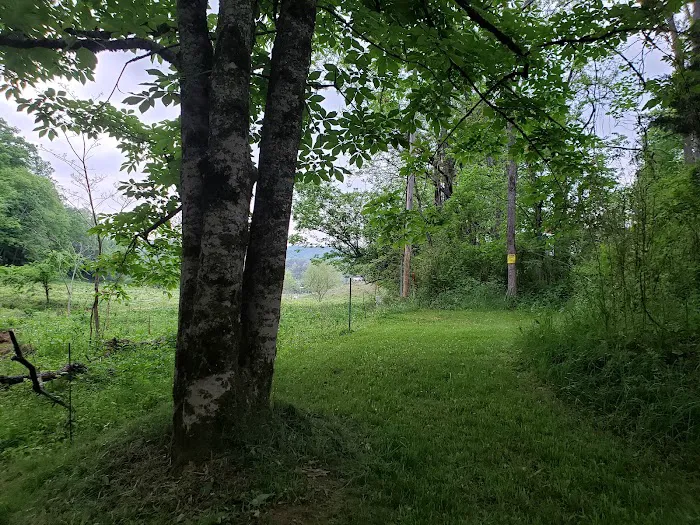 Out on the Creek Campground 4