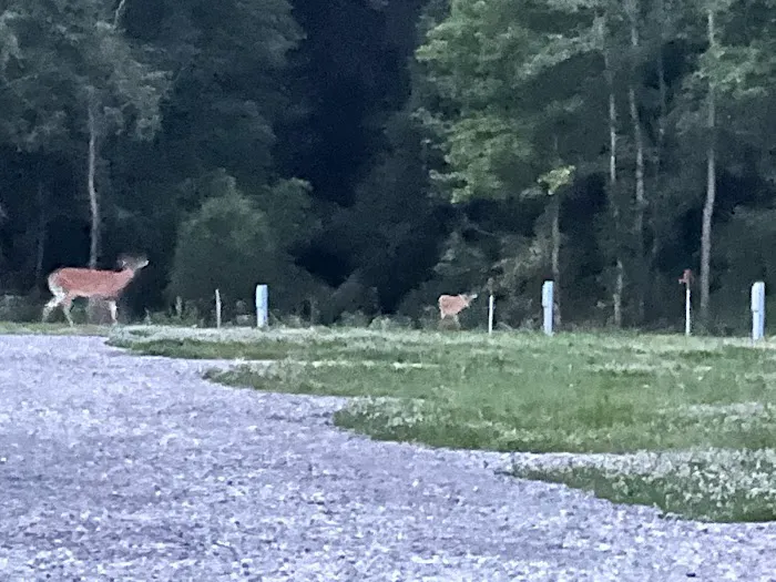 Away A Day RV Campground 6