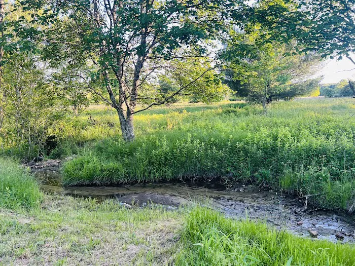Wild Meadows 8