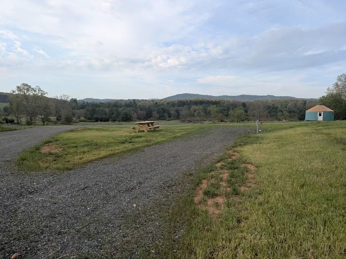 Wild Meadows 4