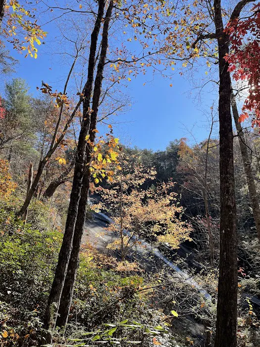 Stone Mountain State Park Group site 4