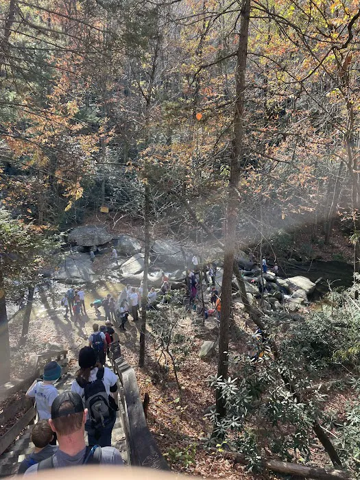 Stone Mountain State Park Group site 5