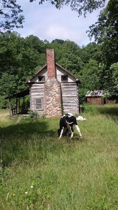 Labhaoise Camp and Hunt Club 8