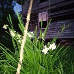Labhaoise Camp and Hunt Club