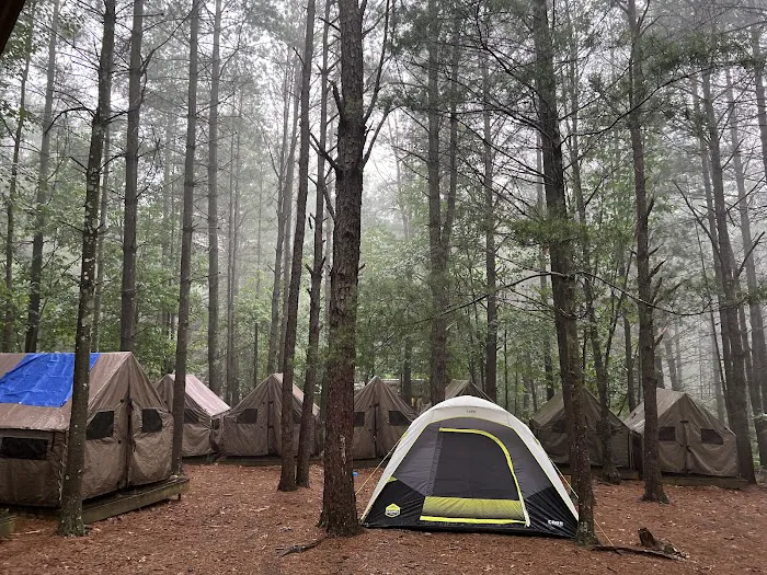 Sequoia 1