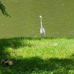 River Views Campground